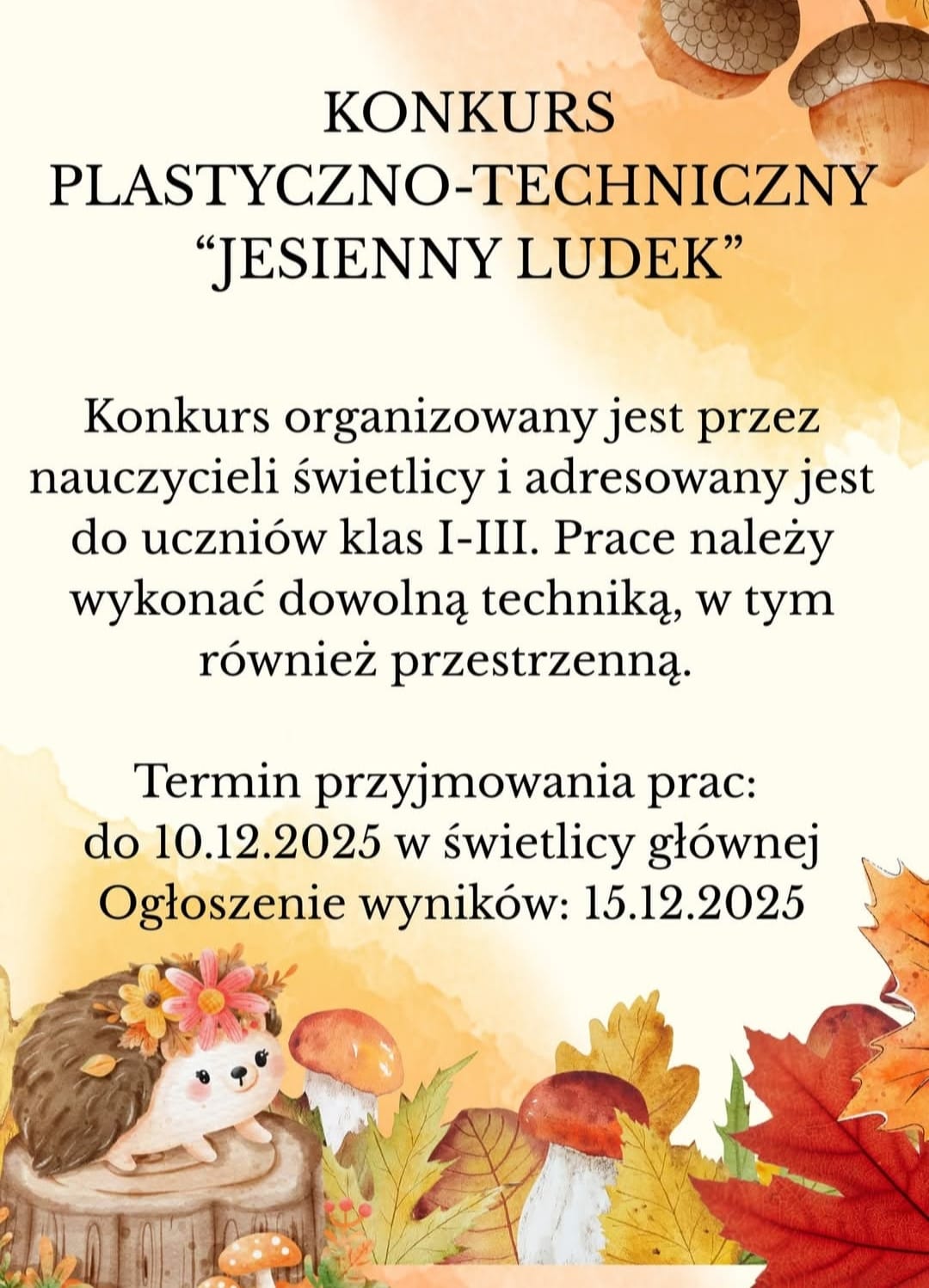 WhatsApp Image 2025 11 20 at 11.55.44